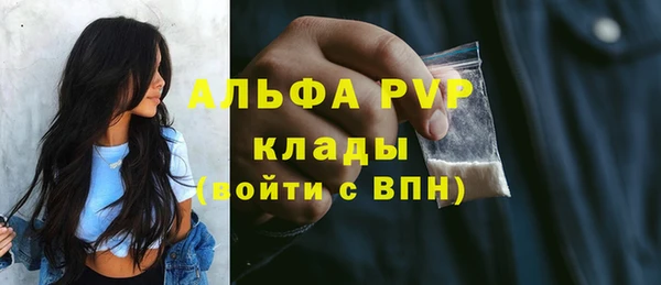 стаф Абинск