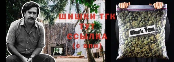 стаф Абинск