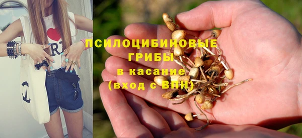стаф Абинск