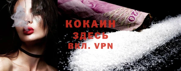 стаф Абинск